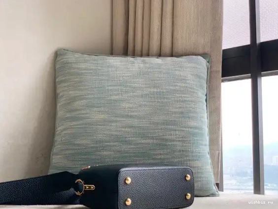 WIS VUITTON CAPUCINES MINI LOUIS 0501